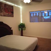 Sylvia's room