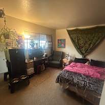 Ash's room