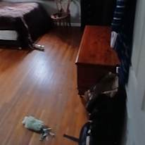 Jeffrey david bauman's room