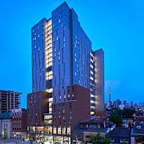 Thanaa Aljawad's room