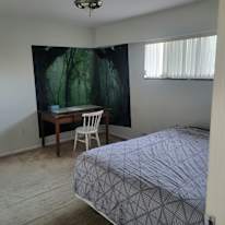 Eddy's room