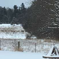 Caledon Suite's room