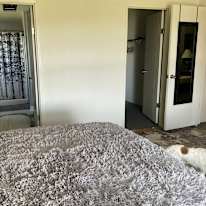 Treena Lynch's room