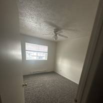 Charlotte Puleo's room
