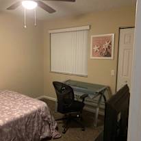 Rose's room