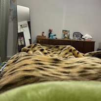 Vishal kushwaha's room