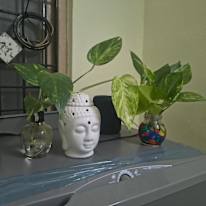 GEORGE's room