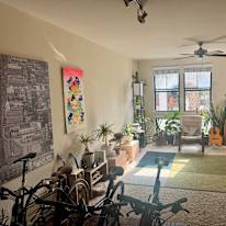 Vincent's room