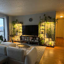 Lois's room