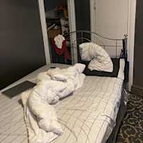 Harvey's room