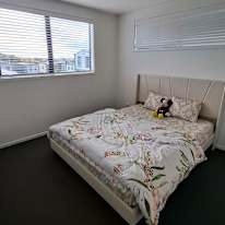 Mohit's room
