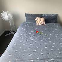 An Nguyen's room