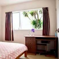 Lily bo's room