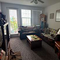 Alpha's room