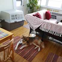 G's room