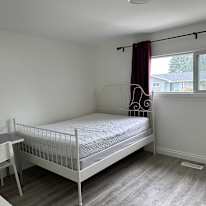 Lucy's room