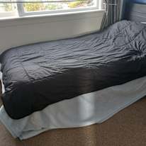 Diane Byles's room