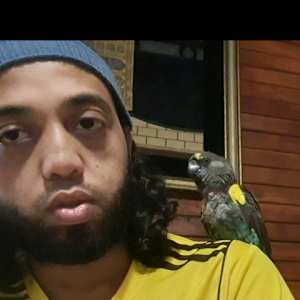 Shameel