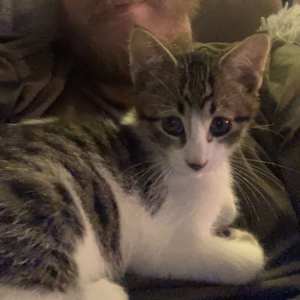 Sam