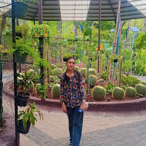 Shilpi