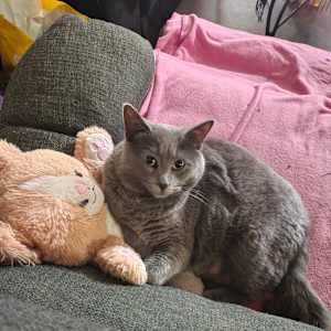 Alicia Paquin