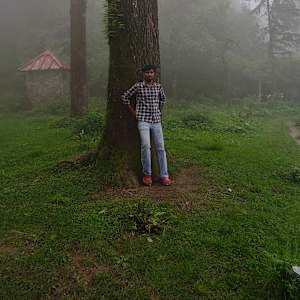 Yog