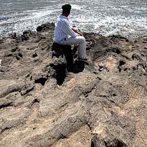 Arunabh