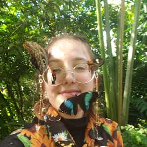 Bug Schenkel