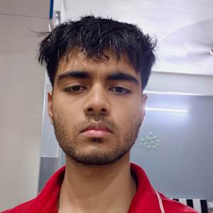 Parth Gupta