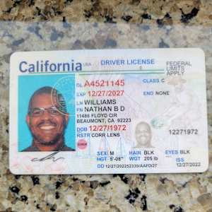 Nathan Williams