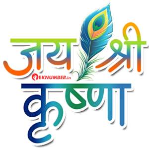 Krishn Meena