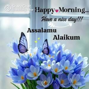 Faisal