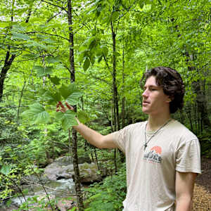 Campton