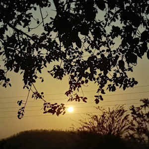 suraj khandait