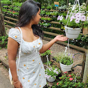 Raeesa
