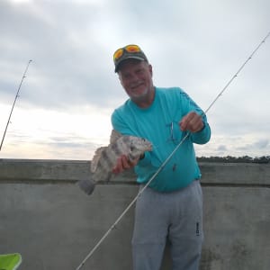 Rod