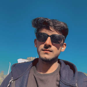 Aryan Namdev