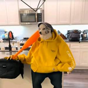 Vee