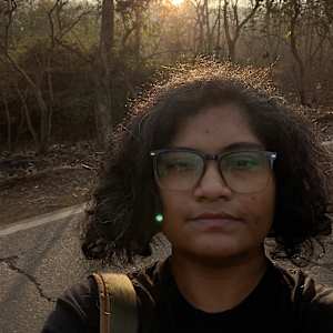 Dipti gandhi