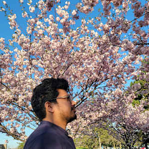 Anwar