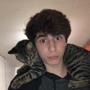 Bailey