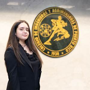 Angelique T. Pagan Medina