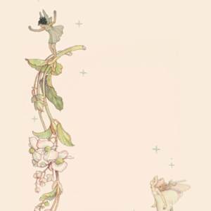 jasmine