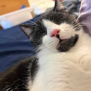 Barbara