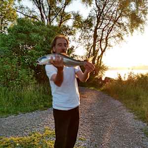 Daniel