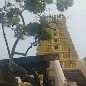 Shreyas