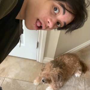 Kaeden