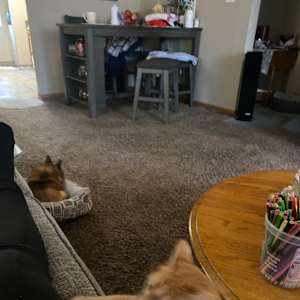 Skippy