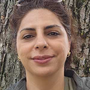 Li