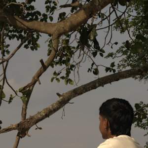 Sujal